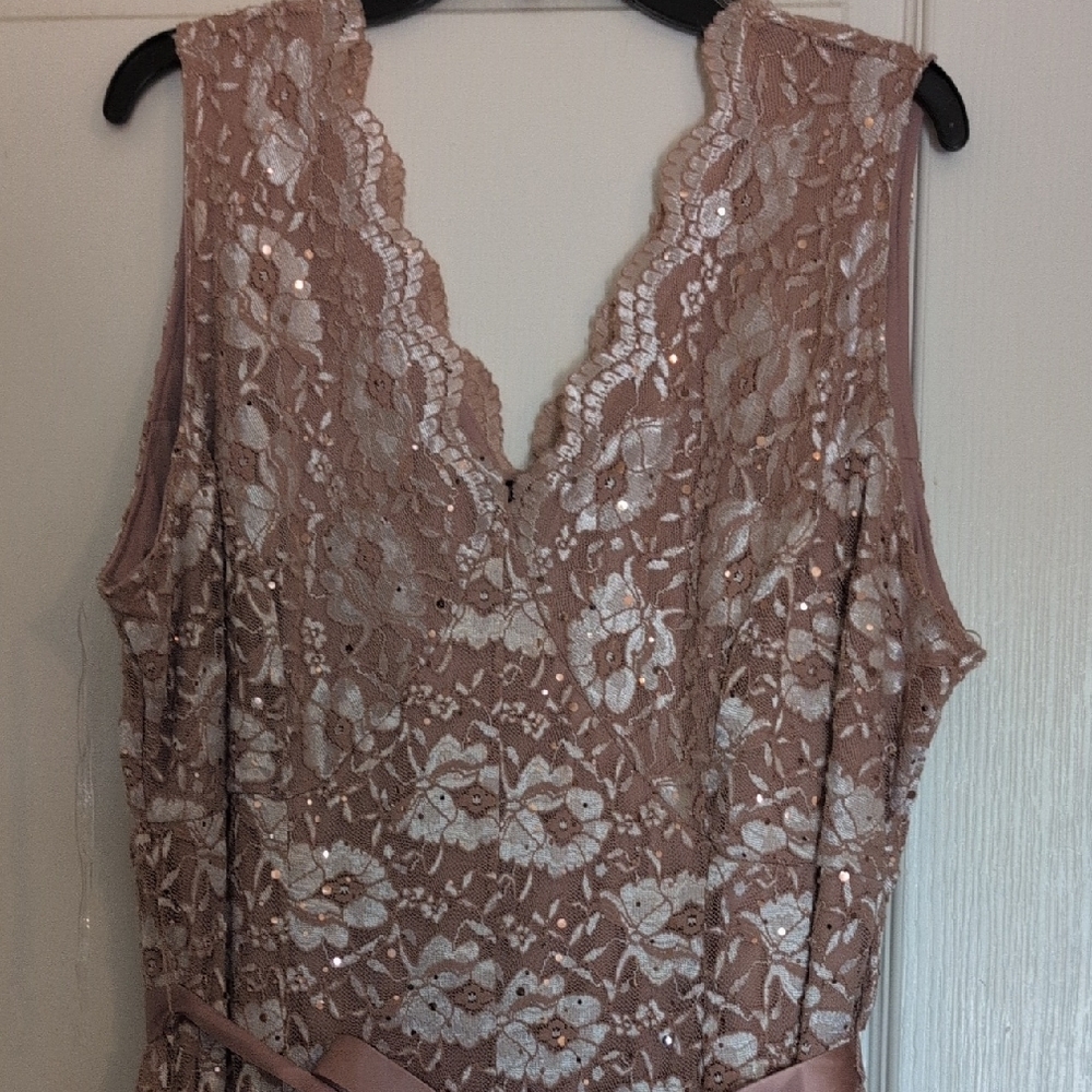 Chic Floral Lace Maxi Dress in Blush NWOT - Picture 2 of 9